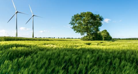 image-getyourpic-istock