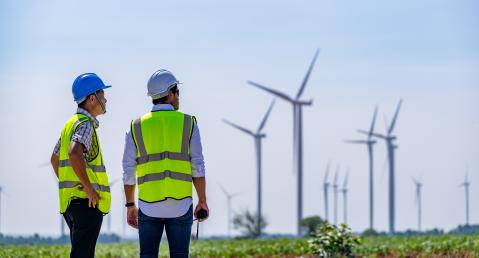 two engineers inspecting wind turbines on a field