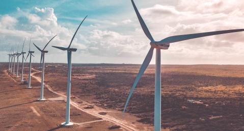 Aruba Wind Farm, Vader Piet