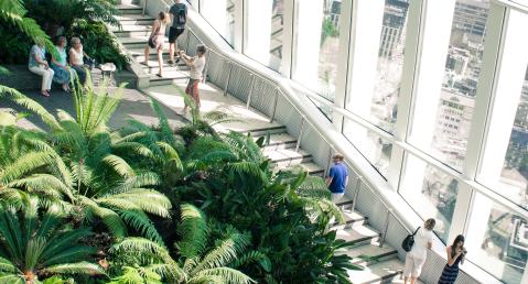 view from inside the sky garden in london