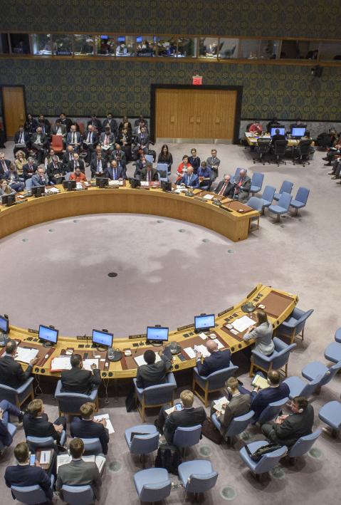 UN Security Council