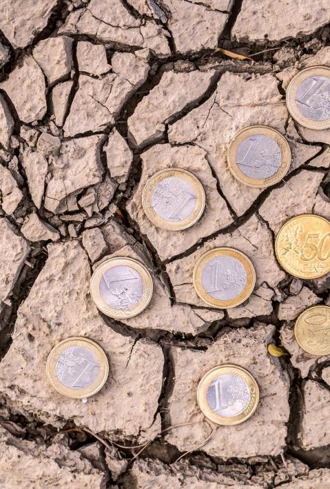 Ausgedorrter Boden mit M&uuml;nzen darauf 