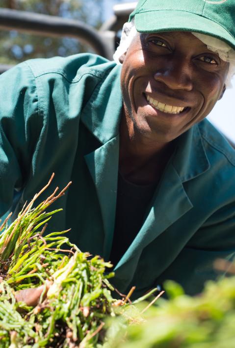 SEED South Africa Winner 2014: Botanica Natural Products