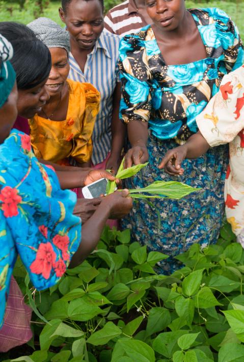 Supporting nature conservation by promoting sustainable agriculture