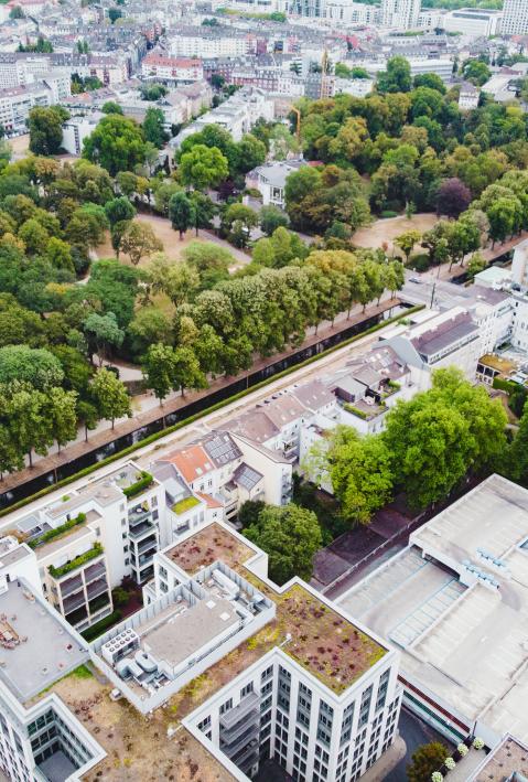 Gr&uuml;nfl&auml;chen zwischen D&uuml;sseldorfs H&auml;usern 