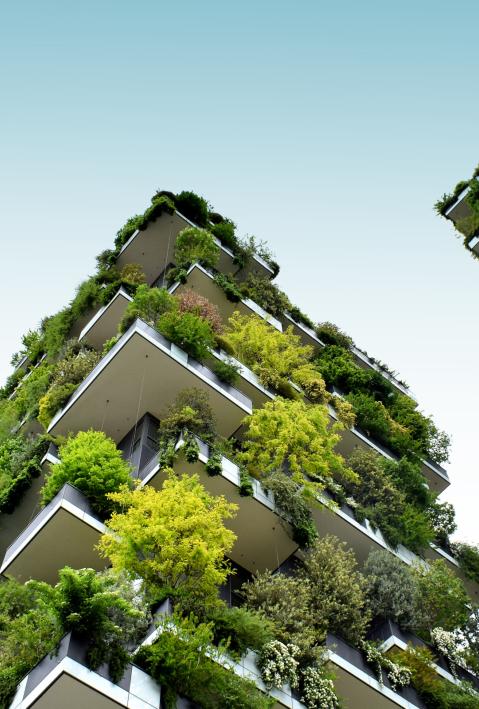 top of buildings with green roofs
