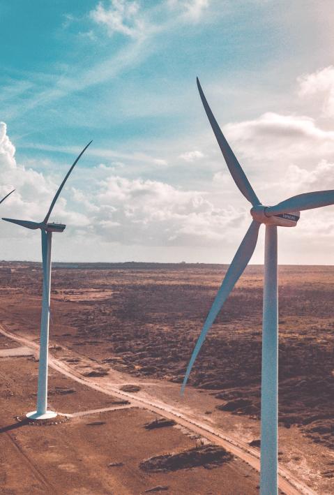 Aruba Wind Farm, Vader Piet