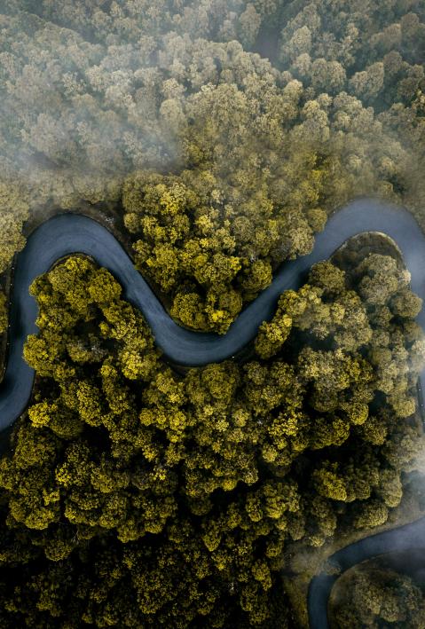 A road from above - winding through dense forests.