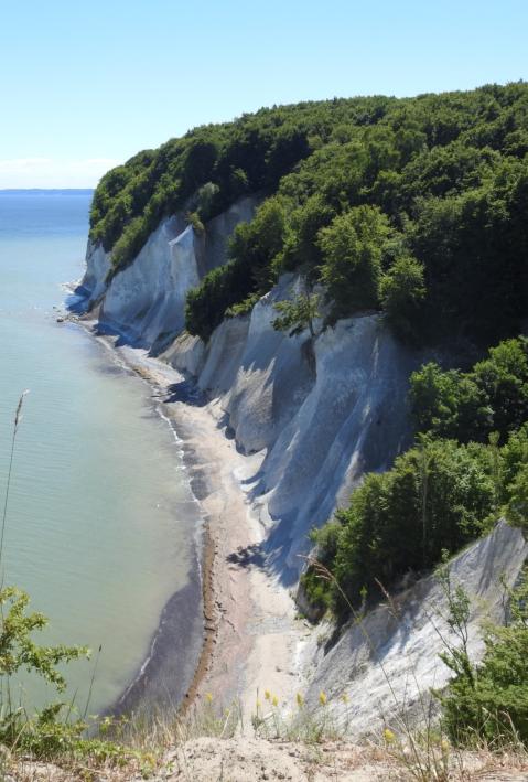 Bewaldete Kreidefelsen fallen steil in die blaue Ostsee ab.
