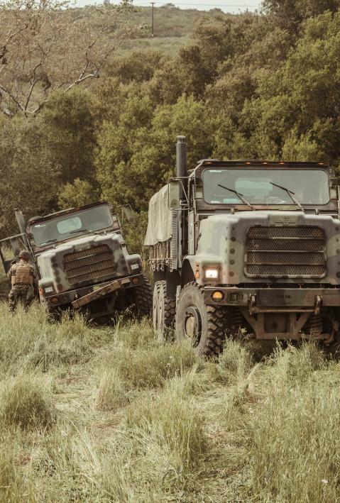 Military vehicles drive through tall grass. 