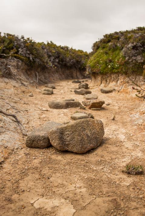 D&uuml;rre Landschaft. 