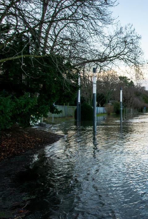 &uuml;berflutetes Rheinufer in Bonn, 2021