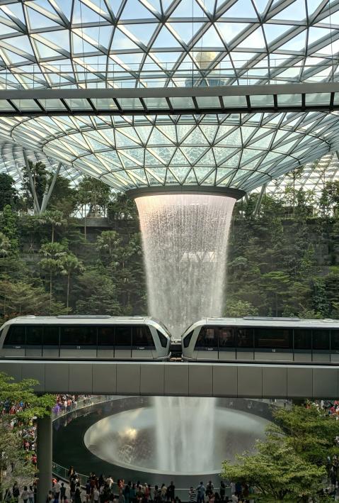 Future train passes jungle