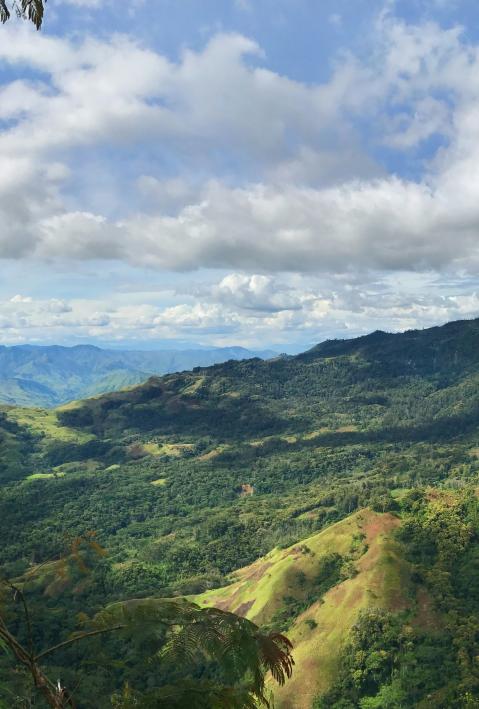 Dschungel und Szenerie in Papua New Guinea