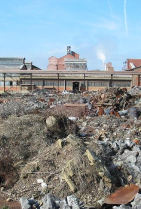 Uploads - Projekte - Bilder: FO-020_Haupt.JPG