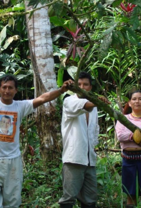 Titelbild: SEED Award 2009: Unterst&uuml;tzung innovativer Projekte in Entwicklungsl&auml;ndern                      