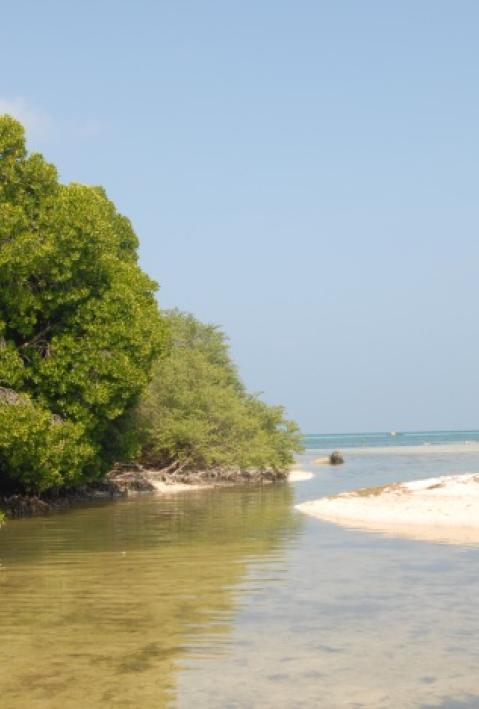 Uploads - Projekte - Bilder: IU-036_Haupt.JPG