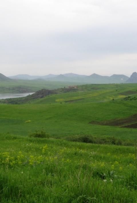 Uploads - Projekte - Bilder: MO-024_Haupt.jpg