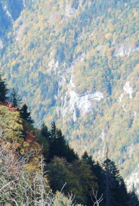 Uploads - Projekte - Bilder: MO-026_Haupt.jpg