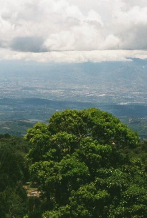 Uploads - Projekte - Bilder: US-021_Haupt.jpg