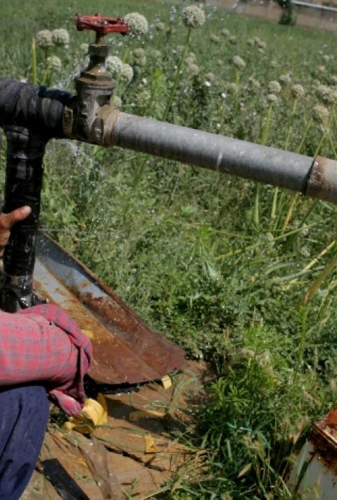 Thursday 12 July 2007
Kabul, Badam Bagh
National Seed Laboratory


Afghanistan: GCP/AFG/045/EC: Variety and Seed Industry Development Project Objectives: This project is designed to support a private sector seed and planting mater