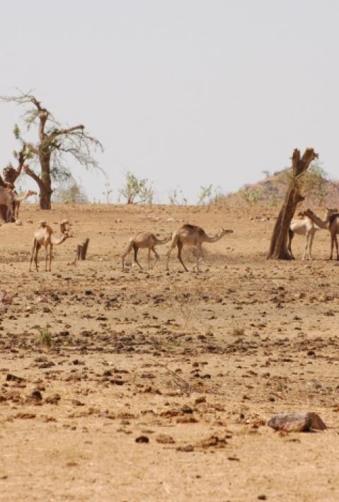 Uploads - Projekte - Bilder: US-511_Haupt.JPG