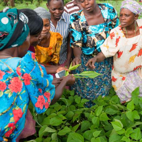 Supporting nature conservation by promoting sustainable agriculture