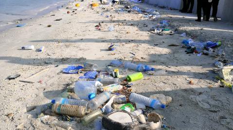 Gruppe reinigt Strand von Plastik.