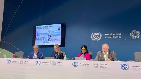 Dennis T&auml;nzler at COP29