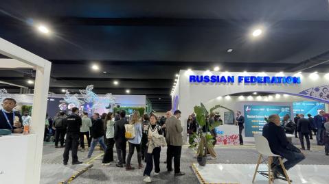 inside the halls of COP29