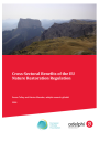 adelphi Publication "Cross-Sectoral Benefits of the EU Nature Restoration Regulation"