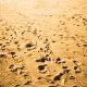Footprints in the sand. 