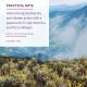 Harmonising biodiversity  and climate action with a  peace lens in Latin America  and the Caribbean
