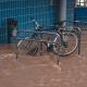 A bicycle stands in a flooded bicycle stand. 